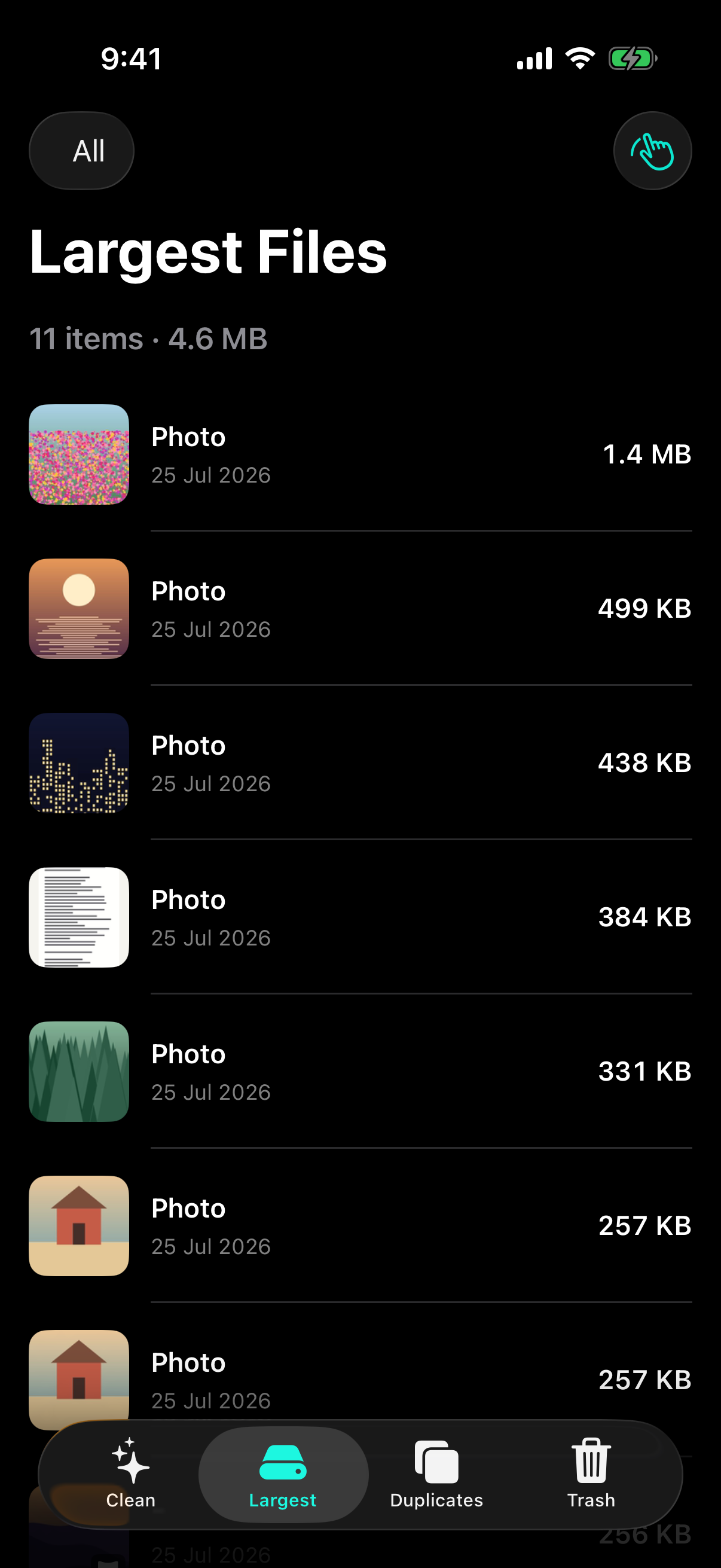 Largest Files tab — every item listed by real file size, largest first