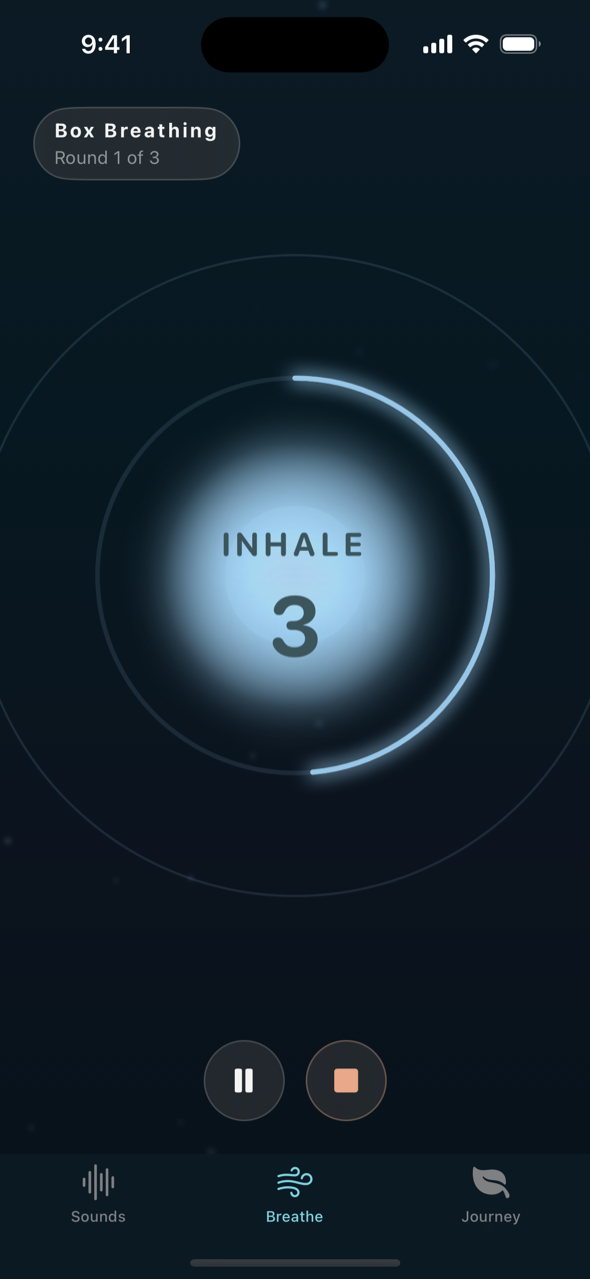 A breathing session with the animated glowing breath orb